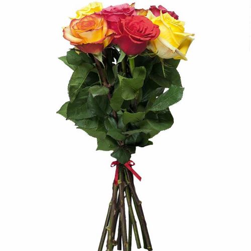 Заказать 7 разноцветных роз с доставкой по Ак-Довураку